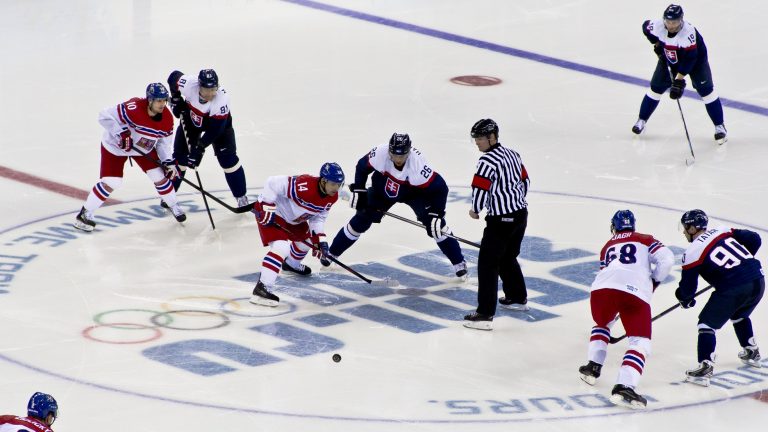 Na nadcházejících olympijských hrách v Pchjongčchangu bude mezi českými fanoušky jistě sledován zejména hokej...