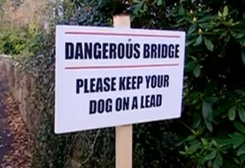 Proč se psi vrhají z mostu?