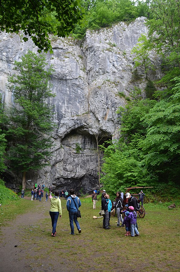 Vstup do Býčí skály, jeskyně dodnes skrývá mnohá tajemství. FOTO: Lasy/Creative Commons/CC BY-SA 4.0