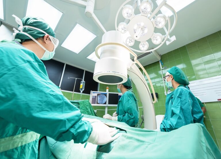Zatímco ve světě se provádí ročně více než 5 tisíc transplantací srdce, na Českou republiku z tohoto čísla připadá zhruba 1 %. Zdroj: Pixabay