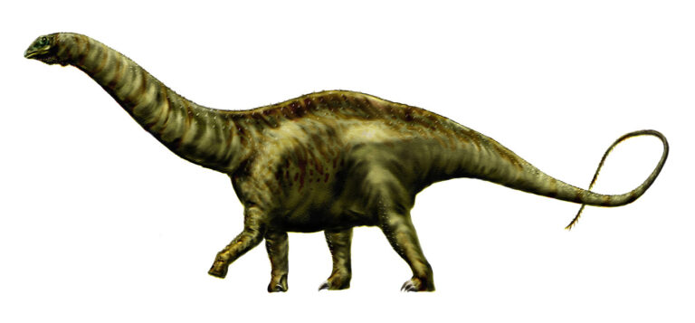 Brontosaurus se Tyranosaura bát nemusel, Jeho mrštný ocas byl totiž smrtící zbraní.