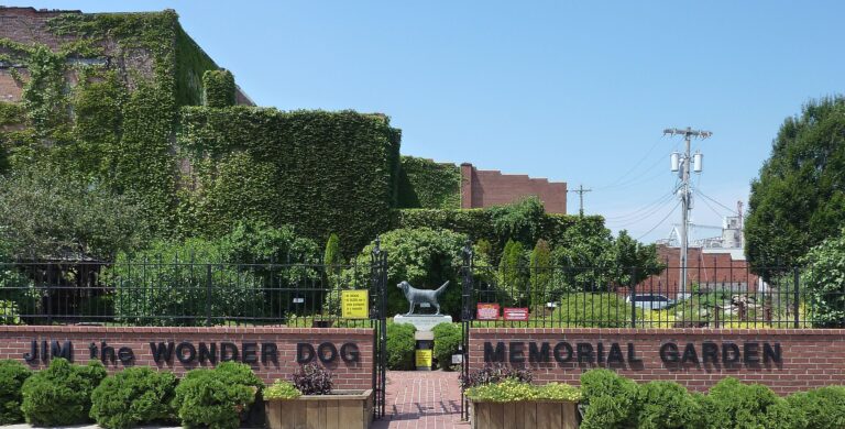 Sen každého psa? Mít vlastní park! A Jimovi se to povede!