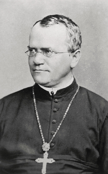 Když Johann Gregor Mendel (1822–1884) sestaví roku 1866 na základě křížení hrachu setého zákony dědičnosti, všichni se na teorii dívají s opovržením.