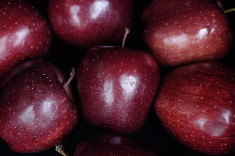 Nádherná barva, skvělá chuť… Není divu, že Red Delicious se staly (nejen) americkým hitem!