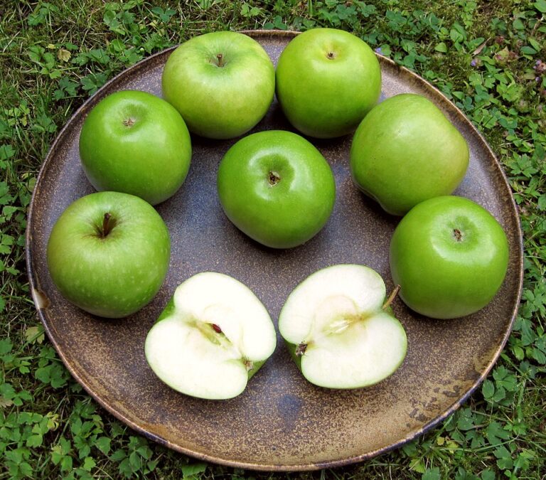 Tohle jablíčko nejprve staré paní Smithové chválili jenom sousedé, ale dnes patří k celosvětově nejoblíbenějším druhům.