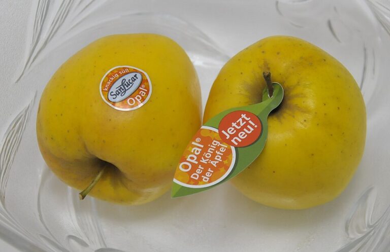 Opál je výjimečné jablko, které si oblíbili i spotřebitelé v zahraničí.