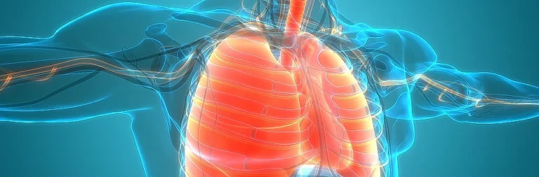 Dýchací cesty a plíce