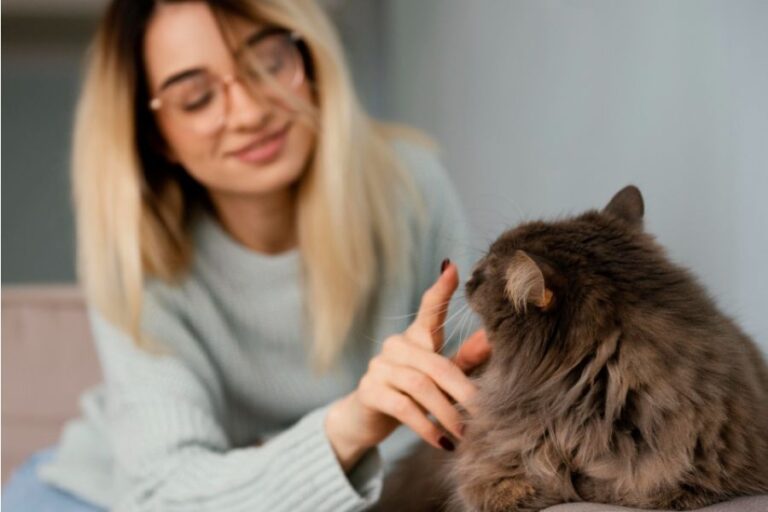 Porozumět své kočce je důležité. Foto: Freepik