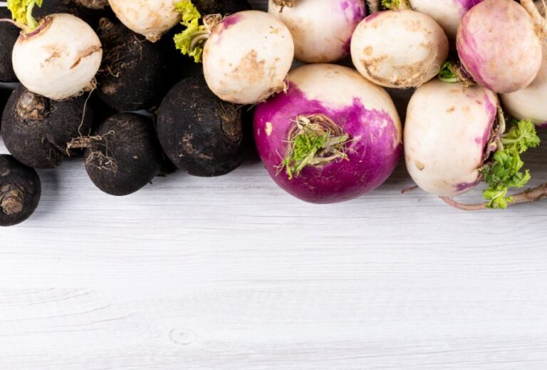 Bílé i černé ředkve znají Evropané mnohem déle. Foto: Freepik