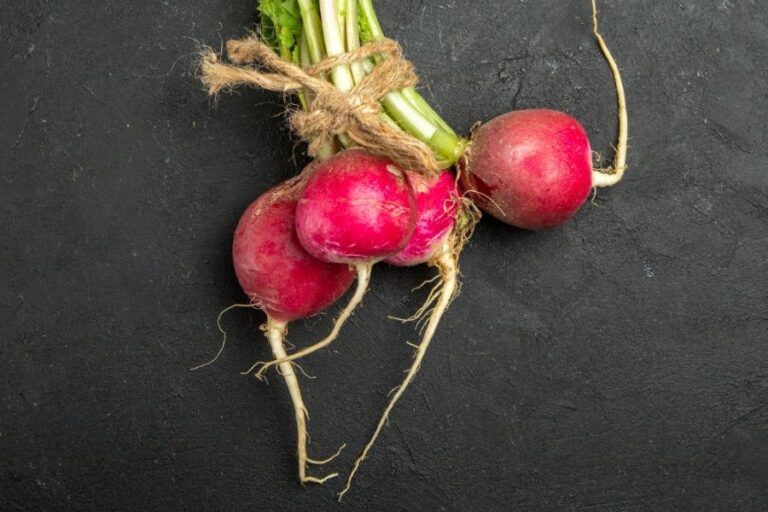 Malé, kulaté a červené známe až od 16. století. Foto: Freepik