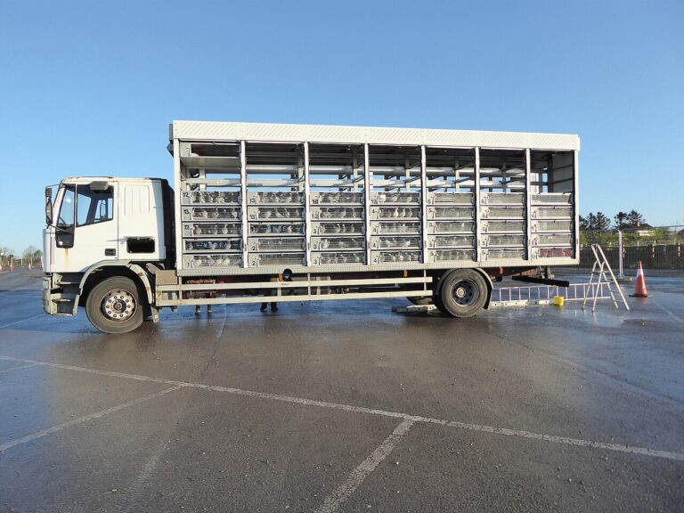 Šampioni přijíždějí.