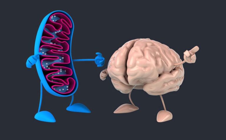 S trochoi nadsázky se dá říci, že střevní bakterie posílají signály rovnou do mozku. Foto: Freepik