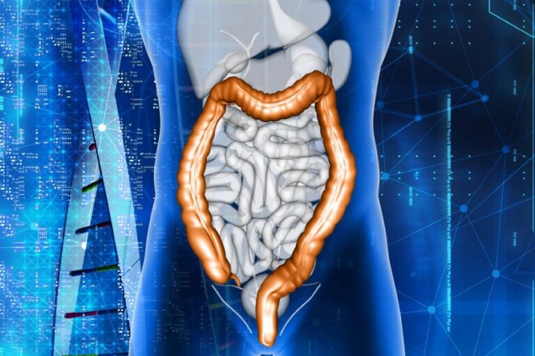 V našich střevech pulsuje aktivita, která ovlivňuje i naše aktuální pocity. Foto: Freepik