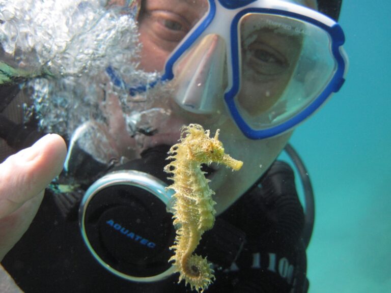 Mare Bohemicum má i svůj zajímavý svět pod hladinou.