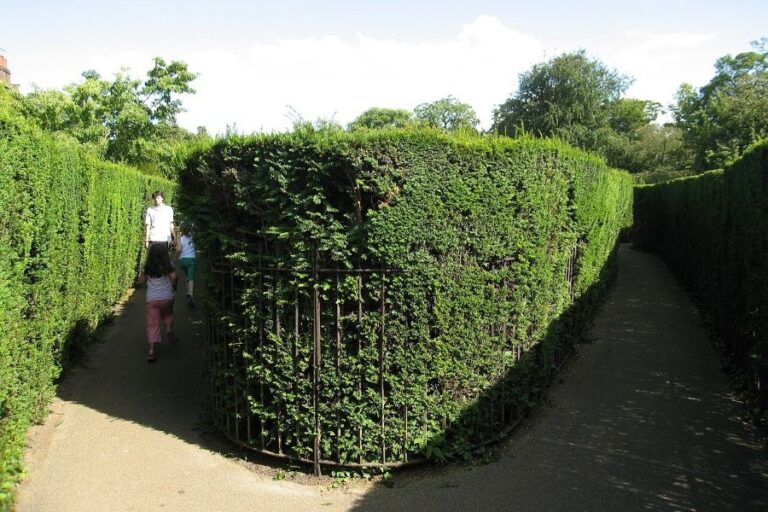 Hampton Court Maze vzníká už v roce 1700. Foto: Kris Arnold/Creative Commons/CC BY-SA 3.0