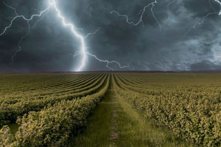 Když se blíží bouřka, do vzduchu se navíc přimísí také ozón. Foto: Magnific