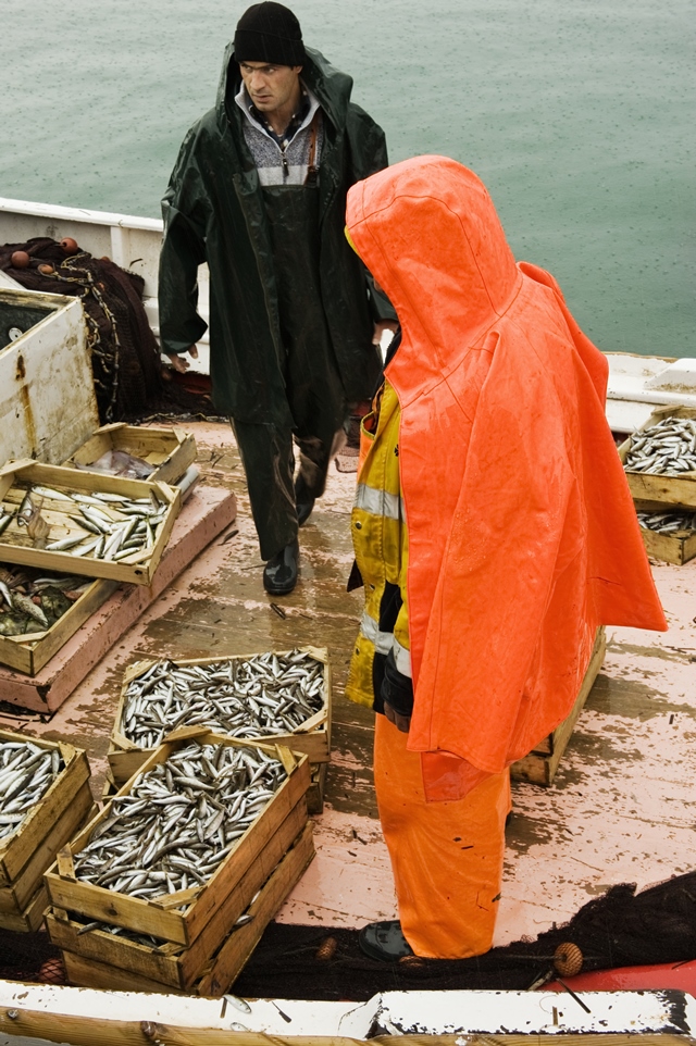 Rybáři se bojí, že budou ryby kontaminované.