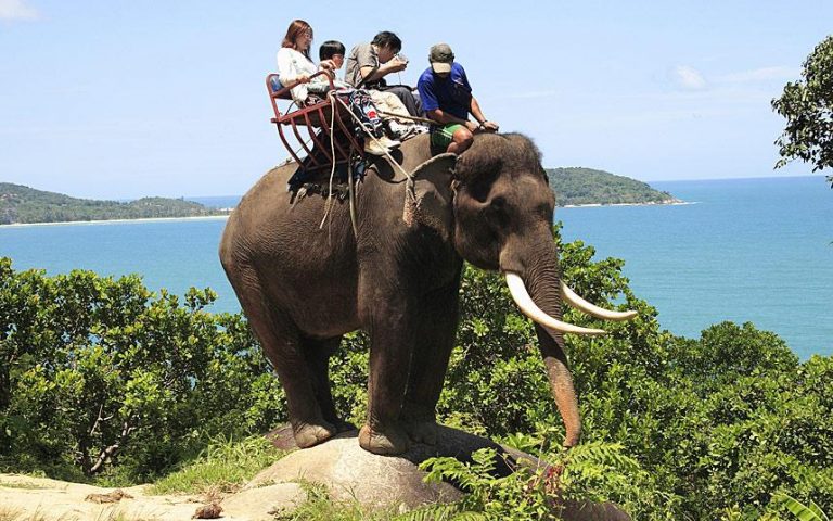 Projížďka na slonovi se pro turistu zdá být povinností.