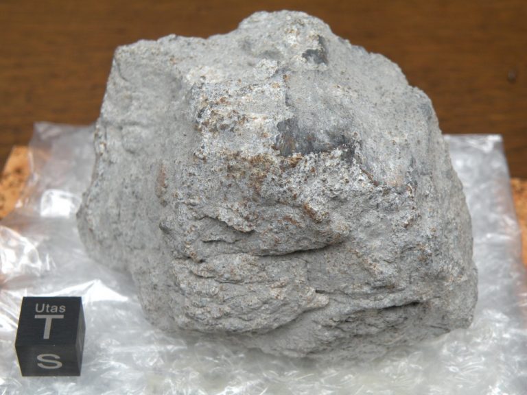 Fragment meteoritu z Carancasu.