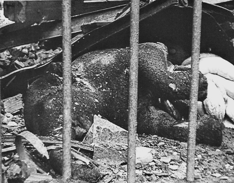 Během bombardování Berlína uhoří v pavilonu celá sloní rodinka.