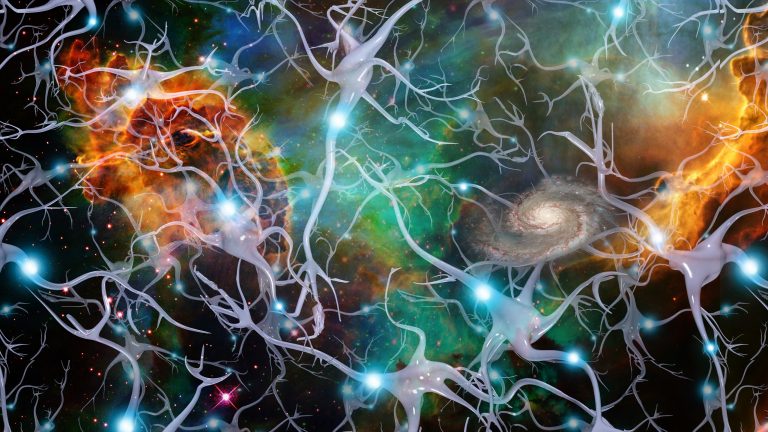 V celém vesmíru zatím neznáme složitější systém, než je lidský mozek.