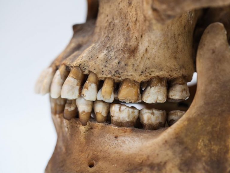 Jak na analýze zubů dokázala archeoložka Christine Caveová, na staré lidi historie pozapomněla.