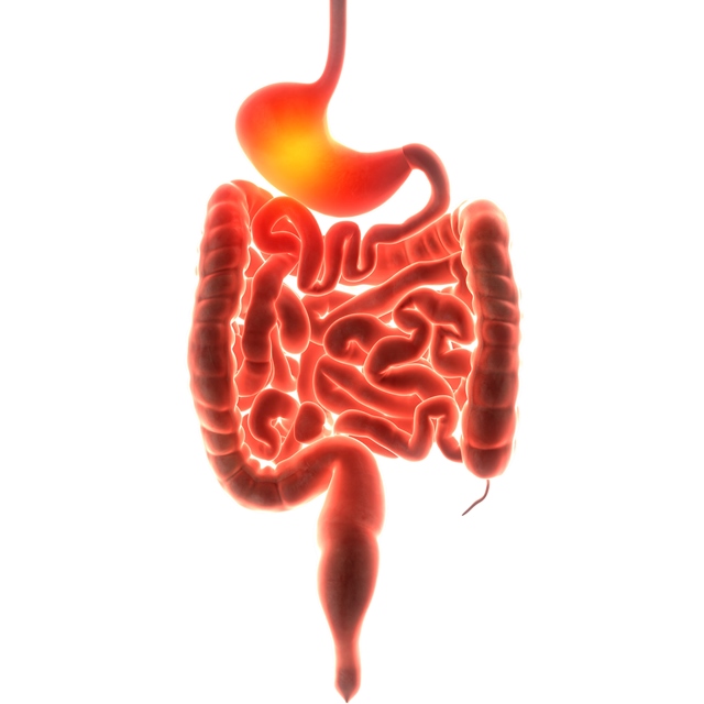 Rudé skvrny mohou být předzvěst Crohnovy nemoci.