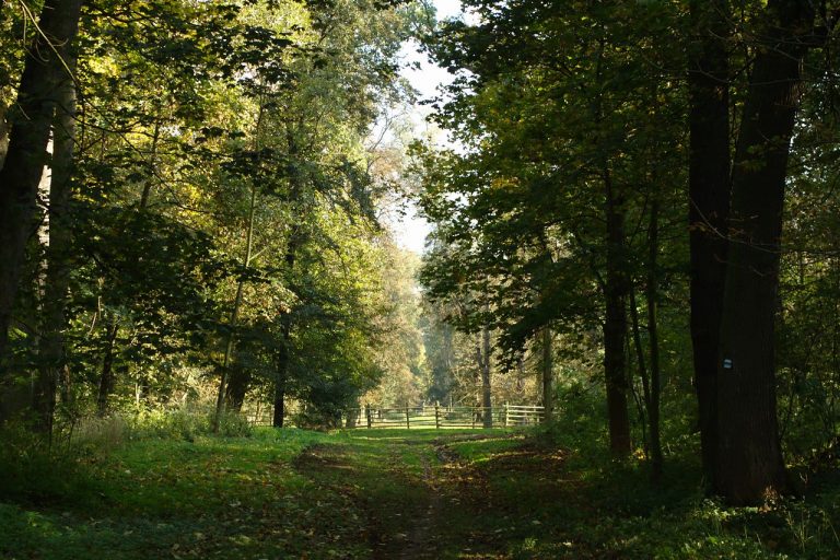 Park Veltruského zámku tvoří nádherné romantické scenérie.