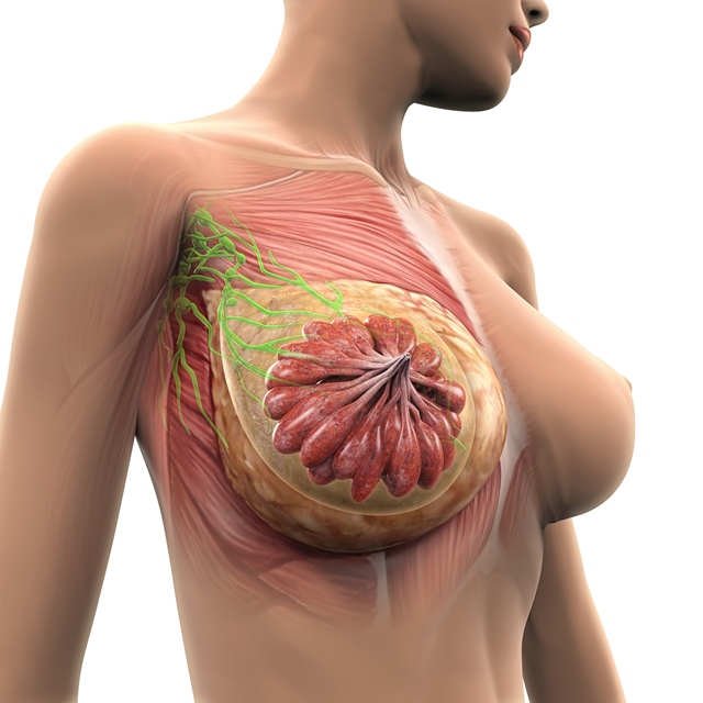 Bulka v prsu se vyskytuje asi u 3/4 nemocných.