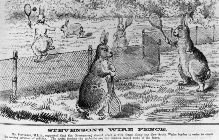 Z opatření proti zamoření mají králíci srandu.