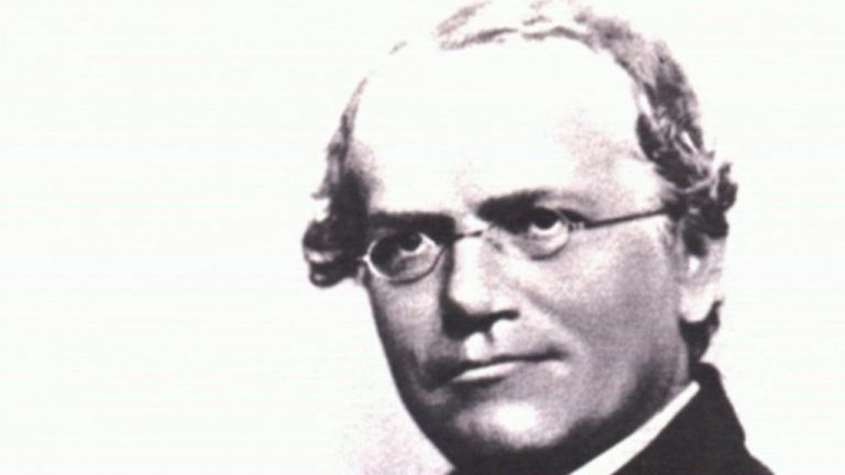 Zakladatel moderní genetiky český Němec Gregor Mendel.