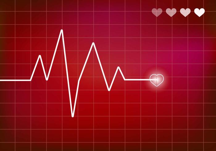 Na rozdíl od CNS EKG vykazuje práce srdce daleko větší synchronicitu a periodicitu.