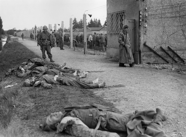 Během 2. světové války způsobovaly vši šatní rozsáhlé epidemie tyfu v koncentračních táborech.