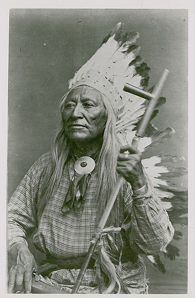Severoameričtí Šošoni patřili mezi vyznavače šamanismu. Hledali zvířecí duchy.