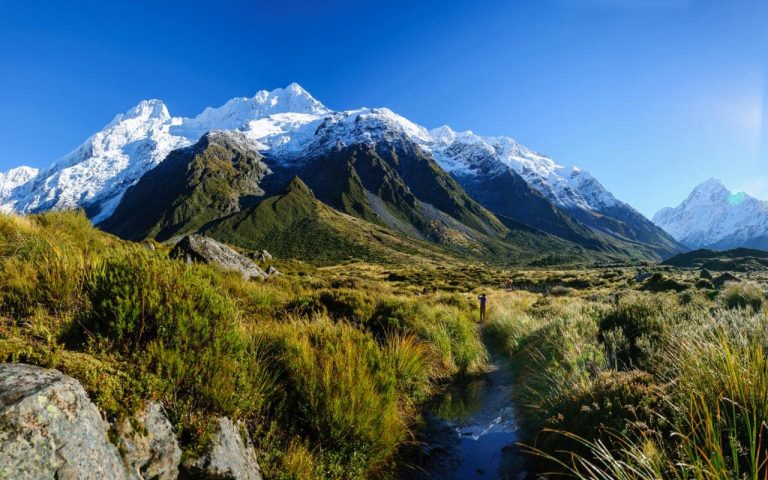 Krajina Nového Zélandu ukrává zajímavé fosílie.