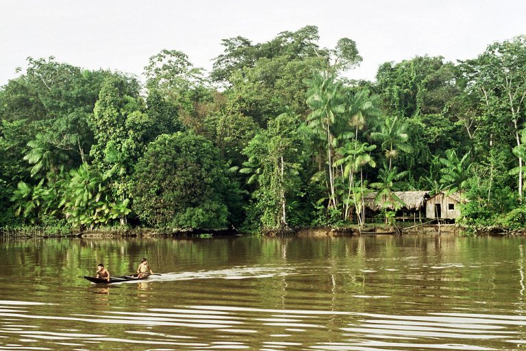 Oblast Amazonie je na západě ohraničena hřebeny And, na severu tvoří hranici Guayanská vysočina, na jihu je to zejména Brazilská vysočina a na východě ústí řeky a pobřeží Atlantského oceánu.