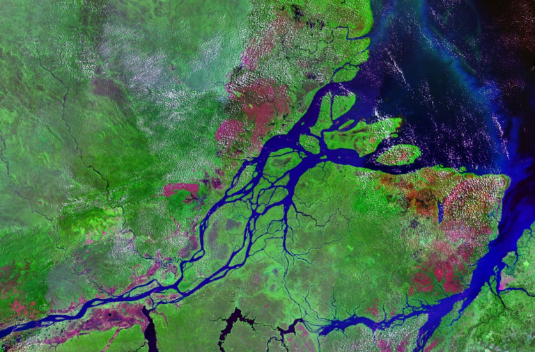 Satelitní pohled na Amazonii.