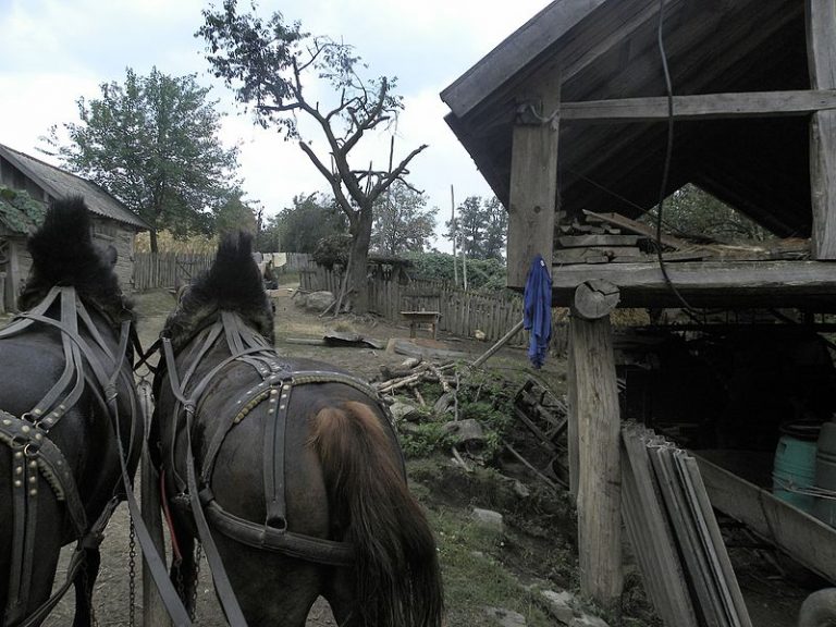 Hlavní obživou obyvatel Banátu odjakživa bylo tradiční zemědělství.