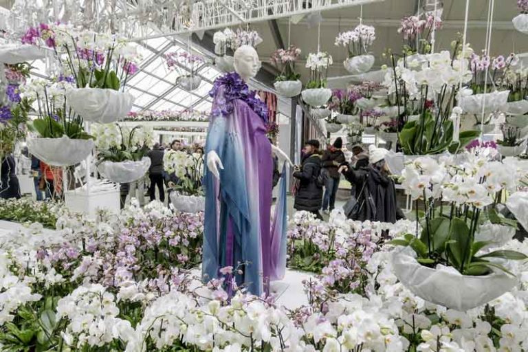 Jarní festival doplňují různé doprovodné akce, zde se jedná o výstavu orchidejí.