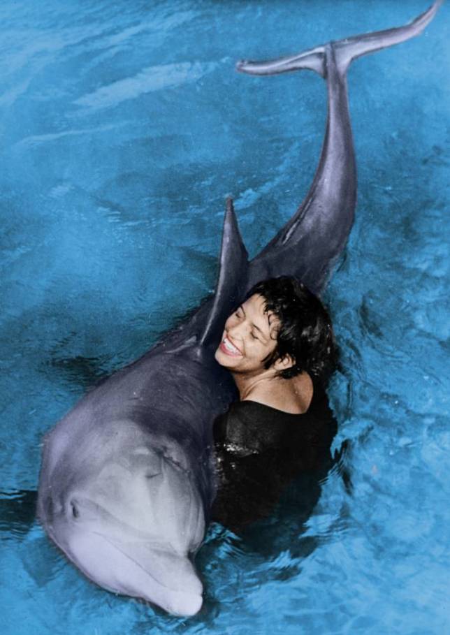 Mladá trenérka Margaret Howe Lovattová naučí delfína Petera vyslovit pozdrav: „Hello Margaret“. U písmenka „m“ si Peter pomáhá bubláním do vody.