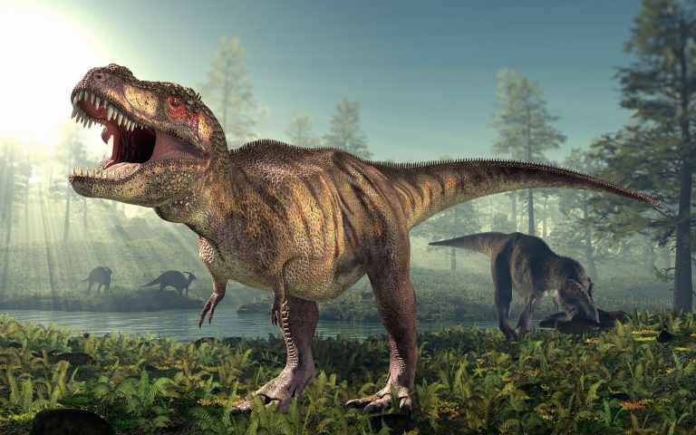 Podle studií se matky tyranosaurů se o svá mláďata staraly.