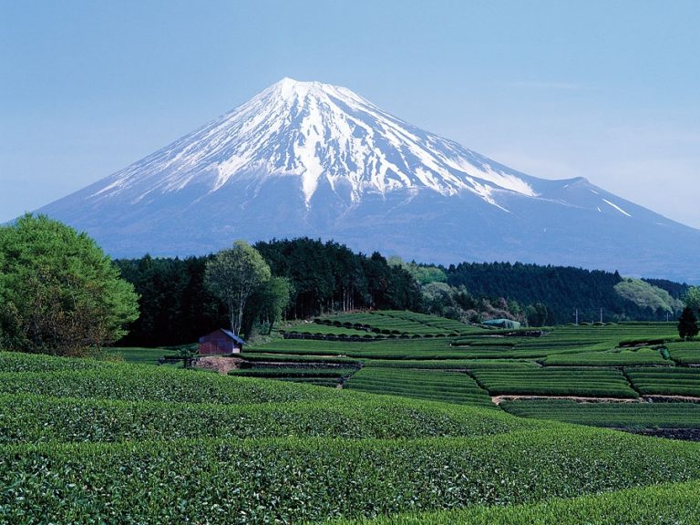 Hosté si mohou udělat výlet k hoře Fuji.