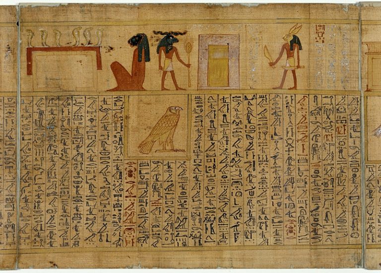 Egyptské papyry se používají až do roku 1100. Pak rostlina mizí.