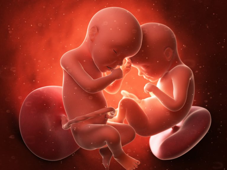 Od 18. týdne těhotenství se některá dvojčata dotýkají což jen upevňuje jejich pouto.