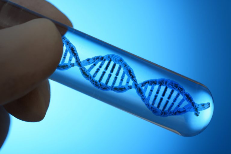 Jsou klíčem k prodloužení života zásahy do DNA?