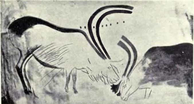 Skutečné kresby bizonů z francouzské jeskyně Font de Gaume. Jejich podvrh praskne až po třiceti letech.