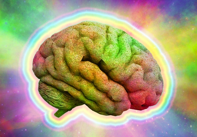 Při stresu přestane fungovat jedna část mozku, které mohou způsobovat halucinace.