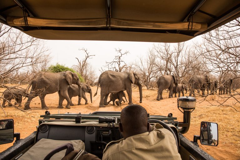 V této rezervaci žije největší počet slonů.