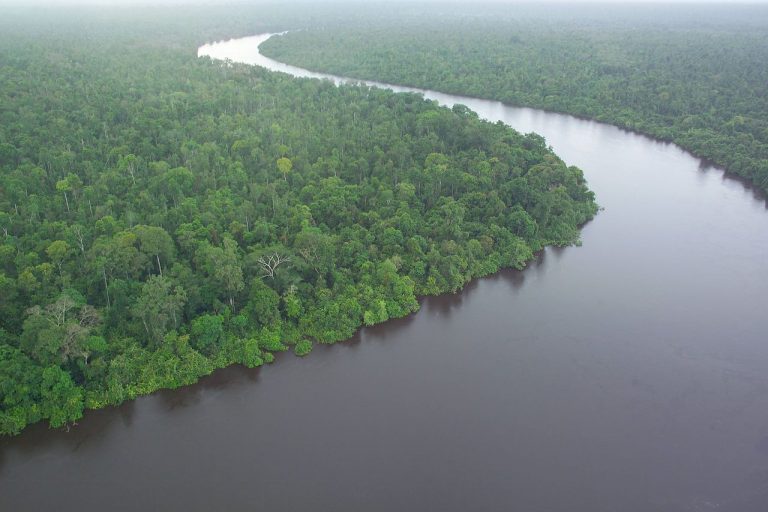 Tropický deštný les na Borneu