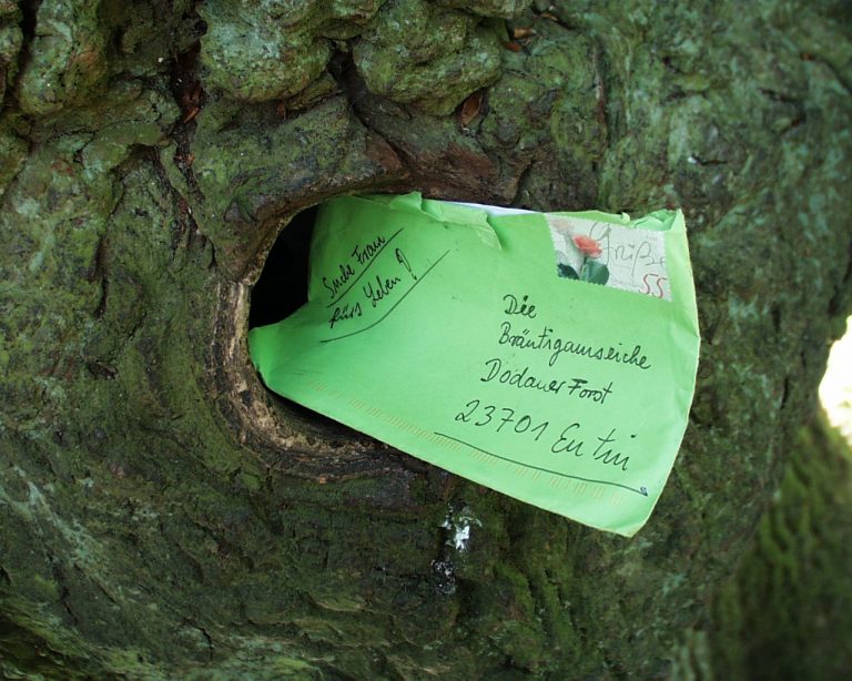 Cpaní dopisů do dutiny ve strome se pro německé pošťáky postupně stane rutinou.